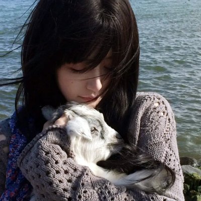 猫贼